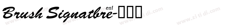 Brush Signatbre字体转换